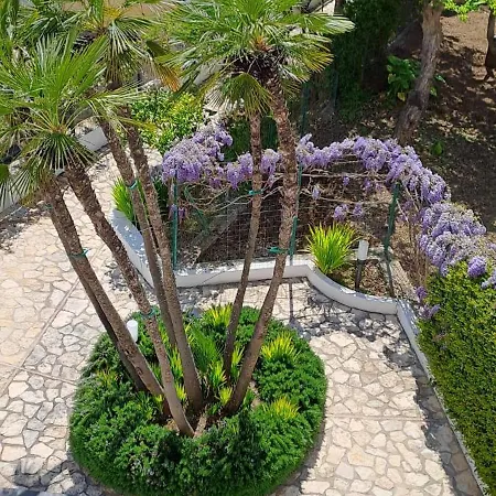 בית הארחה Giardini Luxury 4*