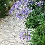 Giardini Luxury Vendégház Capri