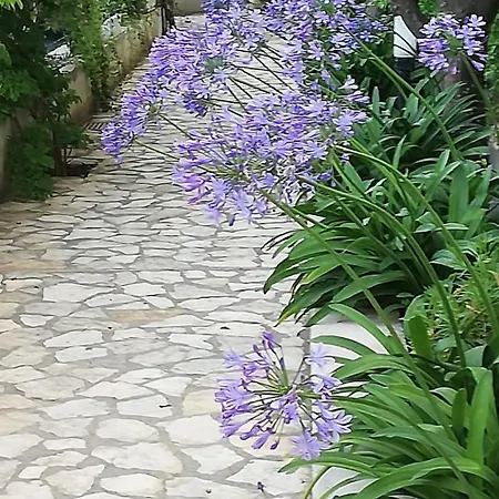 Giardini Luxury Affittacamere Capri