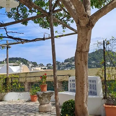 Giardini Luxury Affittacamere Capri